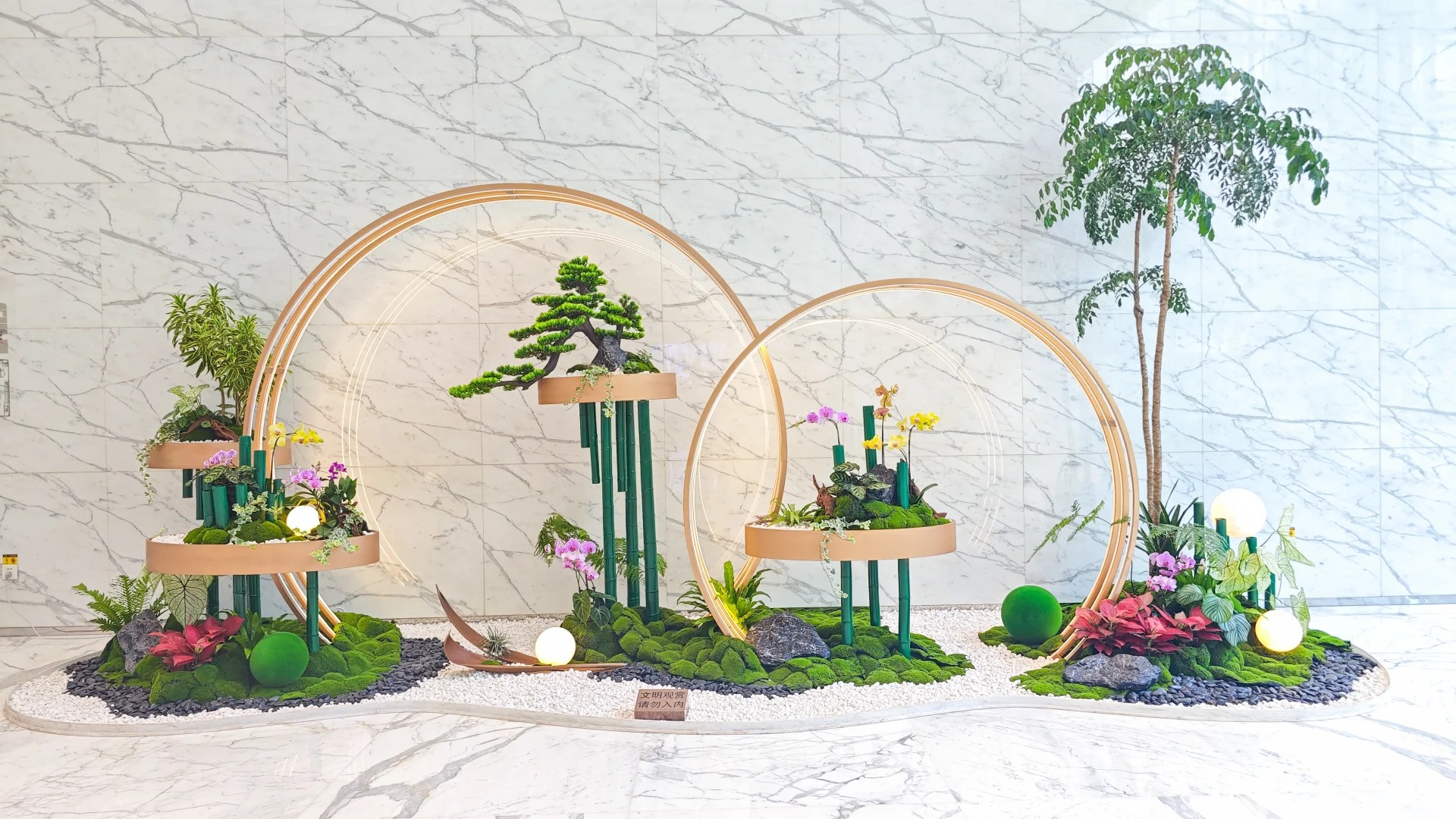 余姚植物出租,服务超贴心,你还不快来体验?